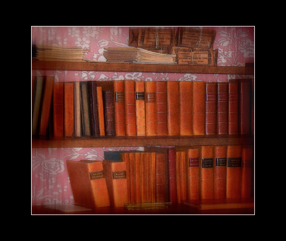 Picture titled Bookshelves