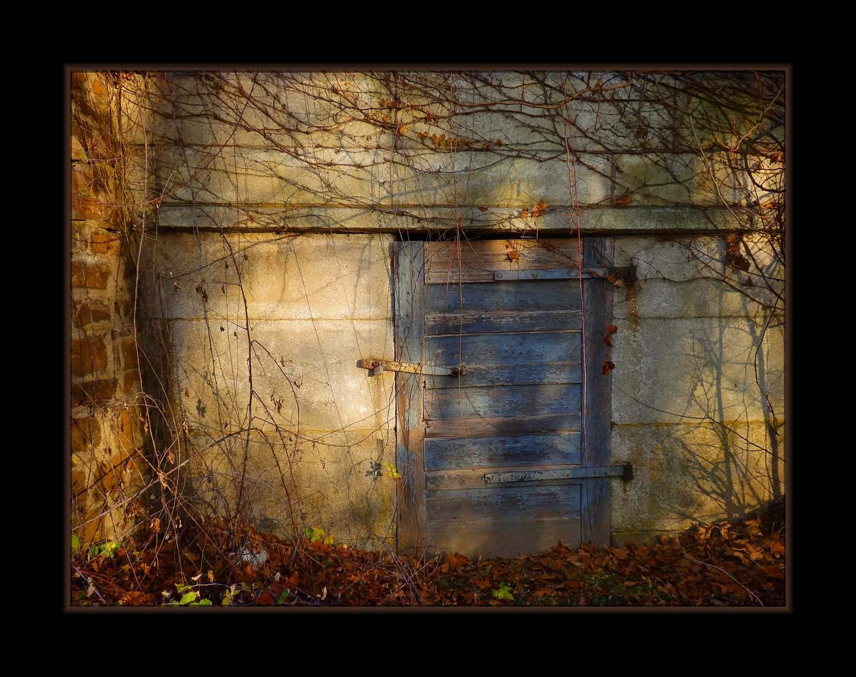 Picture titled Blue Door